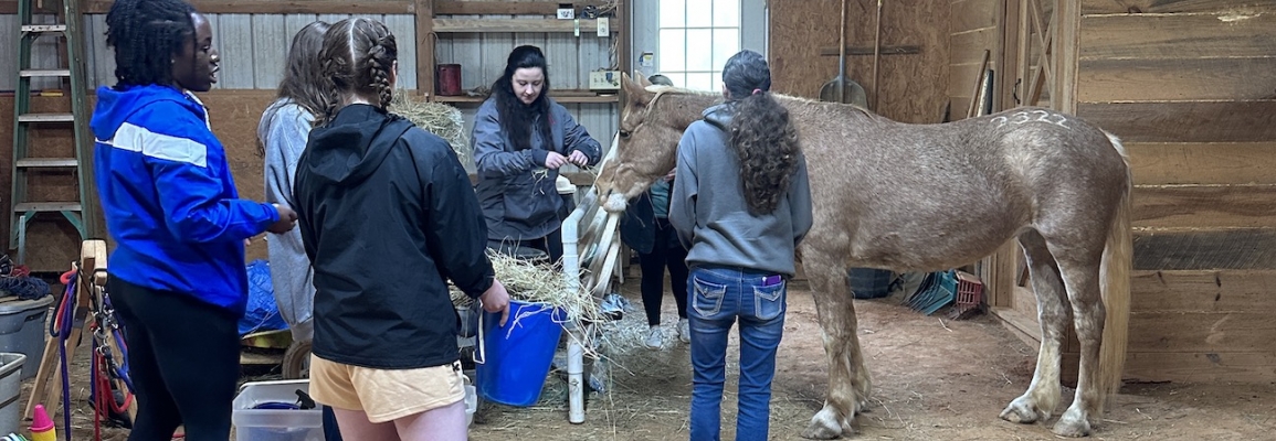 Students interact with a horse during their Coming Full Circle activity